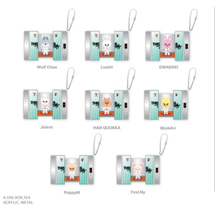 STRAY KIDS - THIS & THAT POP UP OFFICIAL MD SKZOO CAPSULE ACRYLIC KEYRING - COKODIVE