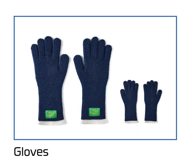 BTS JIN - HAPPY POP-UP : RUNNING WILD TO HAPPINESS OFFICIAL MD GLOVES - COKODIVE