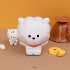 RJ