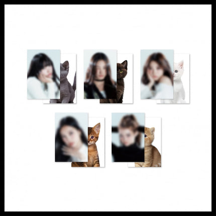 MEOVV - MY EYES OPEN WIDE JAPAN POP UP STORE OFFICIAL MD LENTICULAR - COKODIVE