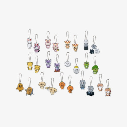 SEVENTEEN - MINITEEN OFFICIAL MD LUCKY DRAW ACRYLIC KEYRING - COKODIVE