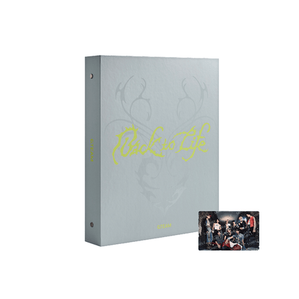 &TEAM - BACK TO LIFE OFFICIAL MD PHOTO CARD BINDER - COKODIVE