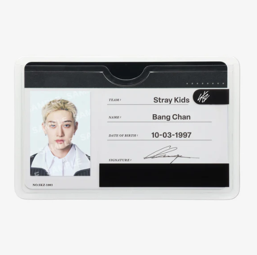 STRAY KIDS - RUN IT JAPAN WORLD TOUR OFFICIAL MD PROFILE CARD SET - COKODIVE