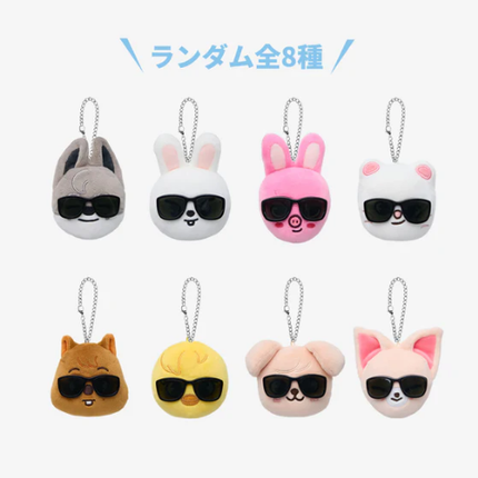 STRAY KIDS - RUN IT JAPAN WORLD TOUR OFFICIAL MD RANDOM FACE KEYRING - COKODIVE