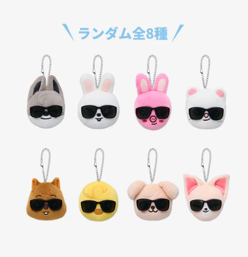 STRAY KIDS - RUN IT JAPAN WORLD TOUR OFFICIAL MD RANDOM FACE KEYRING - COKODIVE