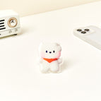 RJ