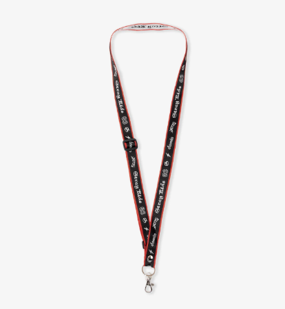 STRAY KIDS - dominATE JAPAN STRAY KIDS WORLD TOUR OFFICIAL MD NECK STRAP BANG CHAN - COKODIVE
