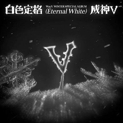 WAYV - ETERNAL WHITE WINTER SPECIAL ALBUM PACKAGE VER RANDOM - COKODIVE