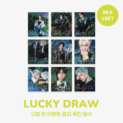 &TEAM - BACK TO LIFE KR 1ST MINI ALBUM WITHMUU 2ND LUCKY DRAW EVENT ROAR VER SET - COKODIVE