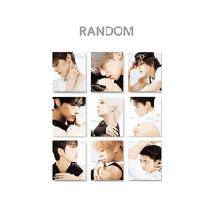 Collection image for: -&TEAM