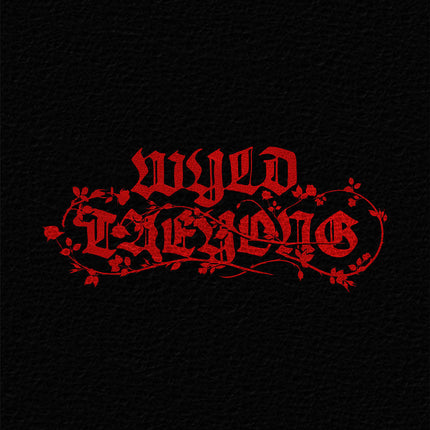 NCT TAEYONG - WYLD 1ST ALBUM WYLD BOOK VER - COKODIVE