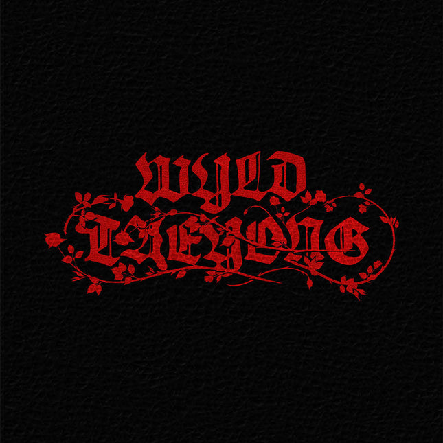 NCT TAEYONG - WYLD 1ST ALBUM WYLD BOOK VER - COKODIVE