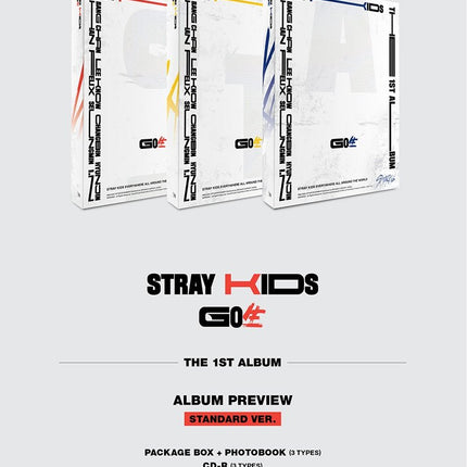 Apple Music RANDOM STRAY KIDS - 1ST OFFICIAL ALBUM [GO生] STANDARD VER.