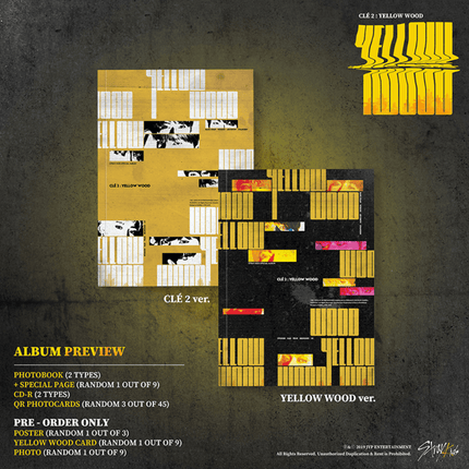 Apple Music STRAY KIDS - SPECIAL ALBUM - CLE 2 : YELLOW WOOD [NORMAL VER.]