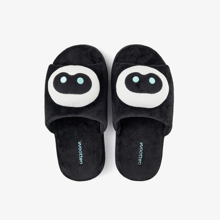 BTS JIN - HAPPY POP-UP : RUNNING WILD TO HAPPINESS OFFICIAL MD WOOTTEO ROOM SHOES - COKODIVE
