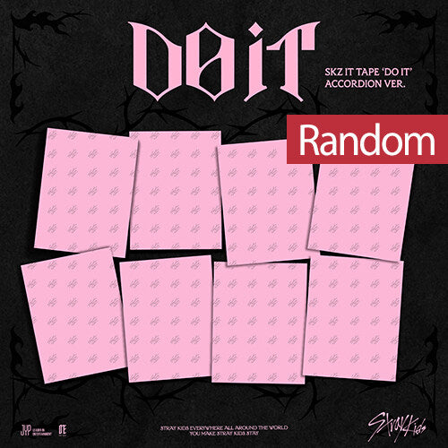 STRAY KIDS - DO IT SKZ IT TAPE ALBUM YES24 GIFT ACCORDION VER RANDOM